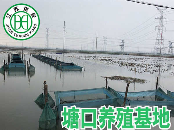 日用品吸塑包裝