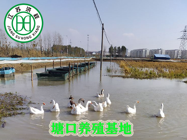 日用品吸塑包裝