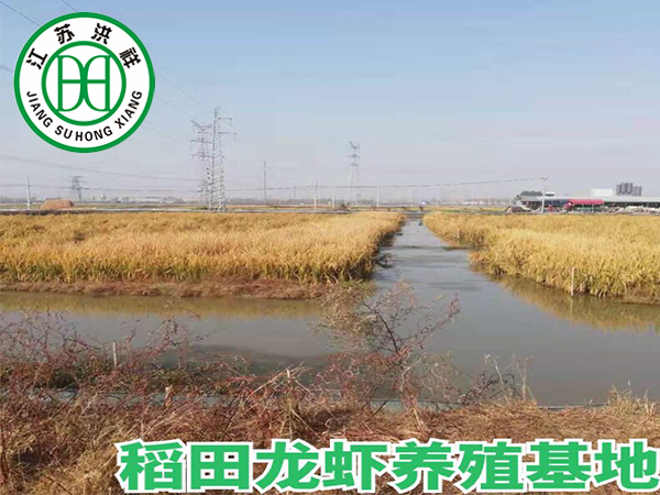 日用品吸塑包裝