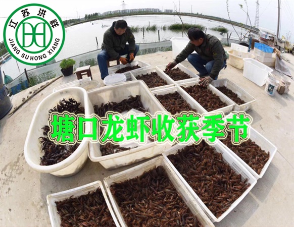 日用品吸塑包裝